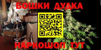 шишки Изобильный