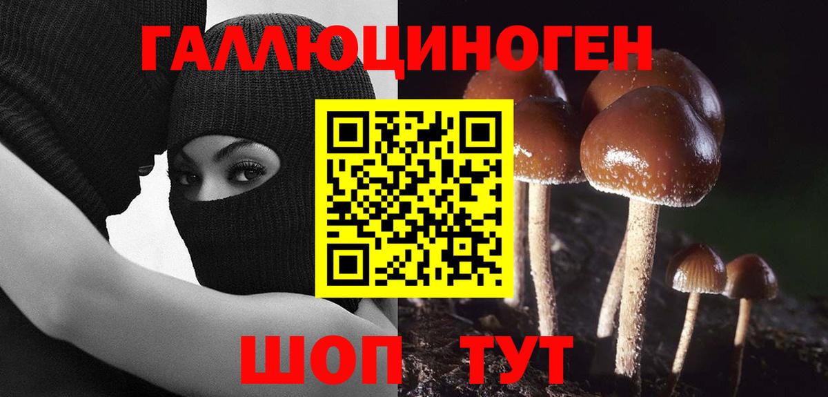 Псилоцибиновые грибы мицелий Кубинка